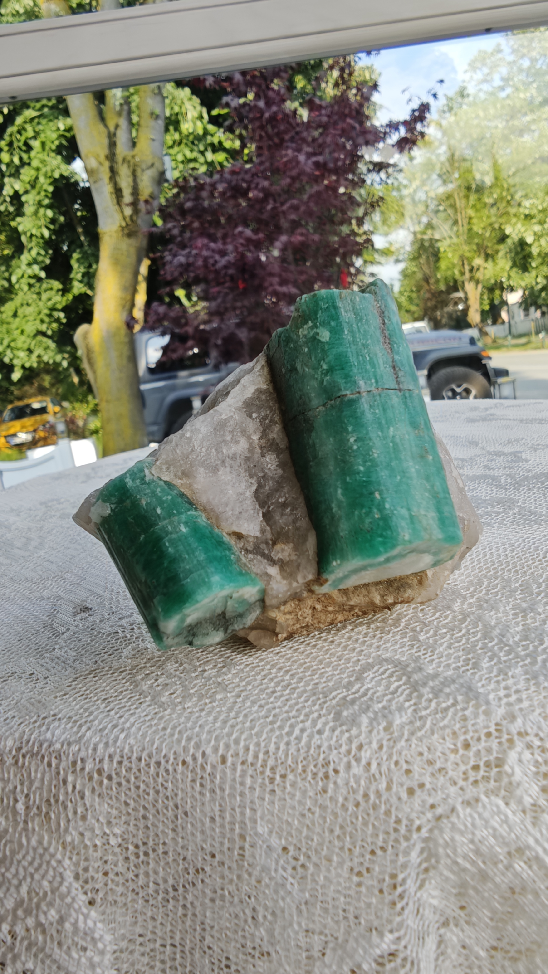 Koleksiyon Amazonit