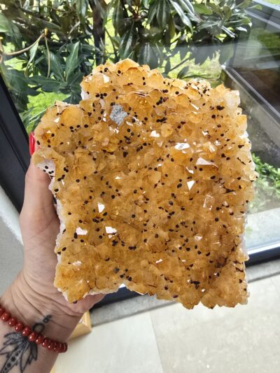 BENEKLİ SİTRİN KÜTLE