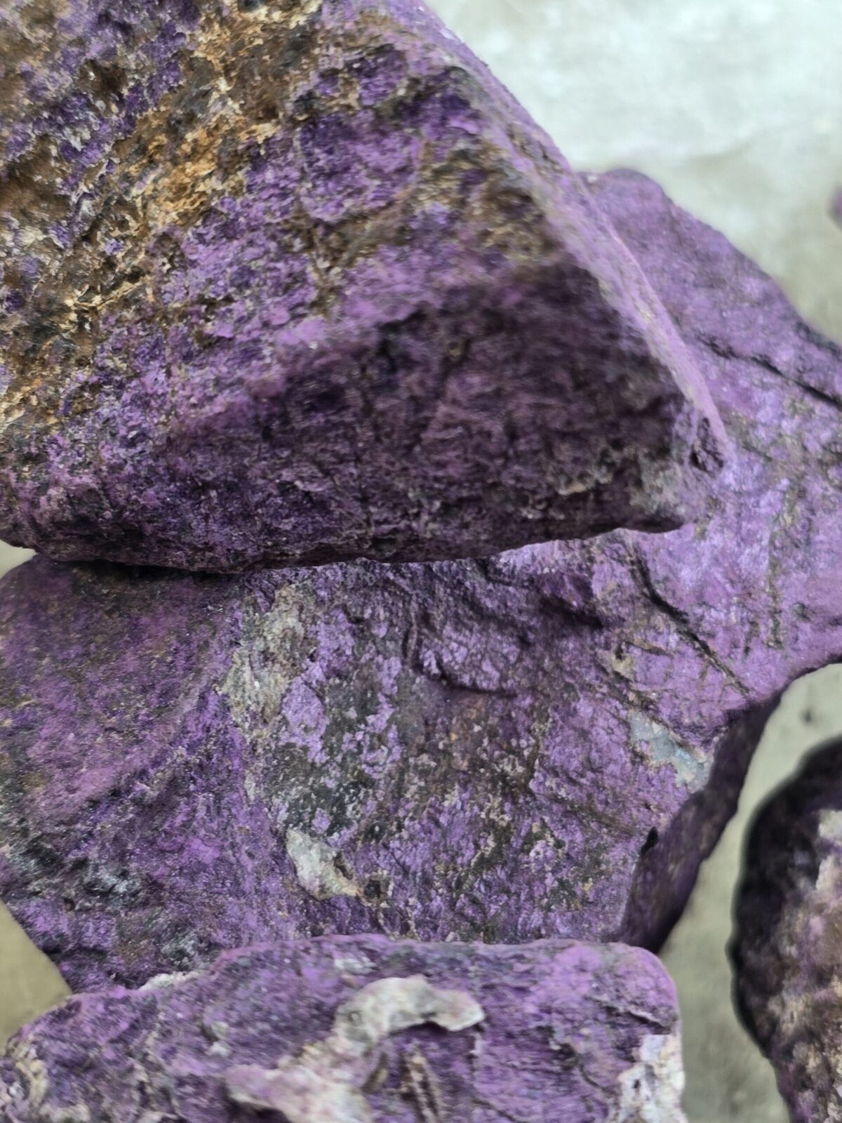 PURPURITE - Görsel 3