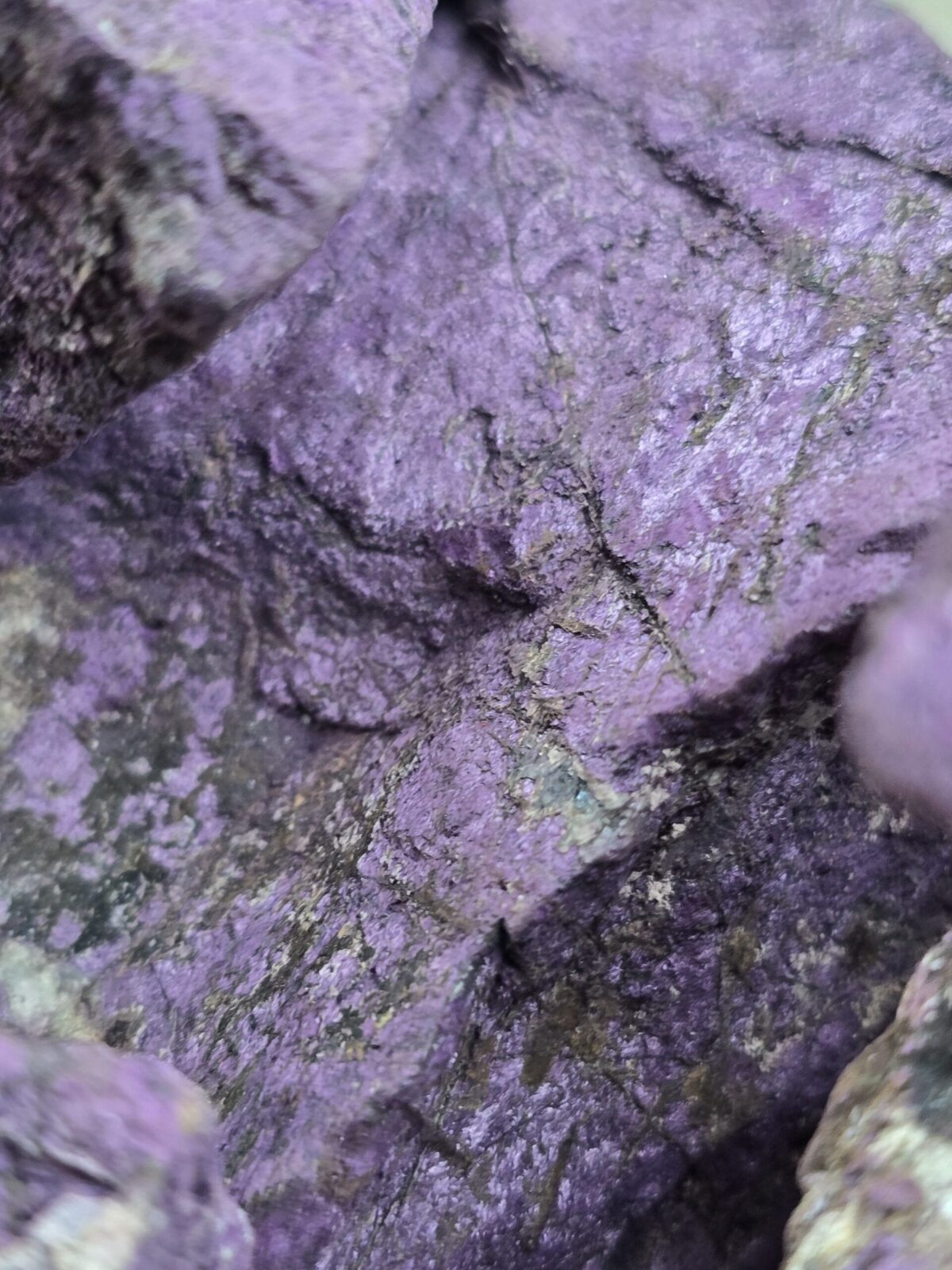 PURPURITE - Görsel 2