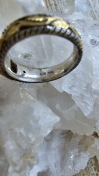 18 AYAR KUVARS ALTIN GÜMÜŞ YÜZÜK - Görsel 2