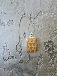 MERCAN FOSİL-4 - Görsel 2