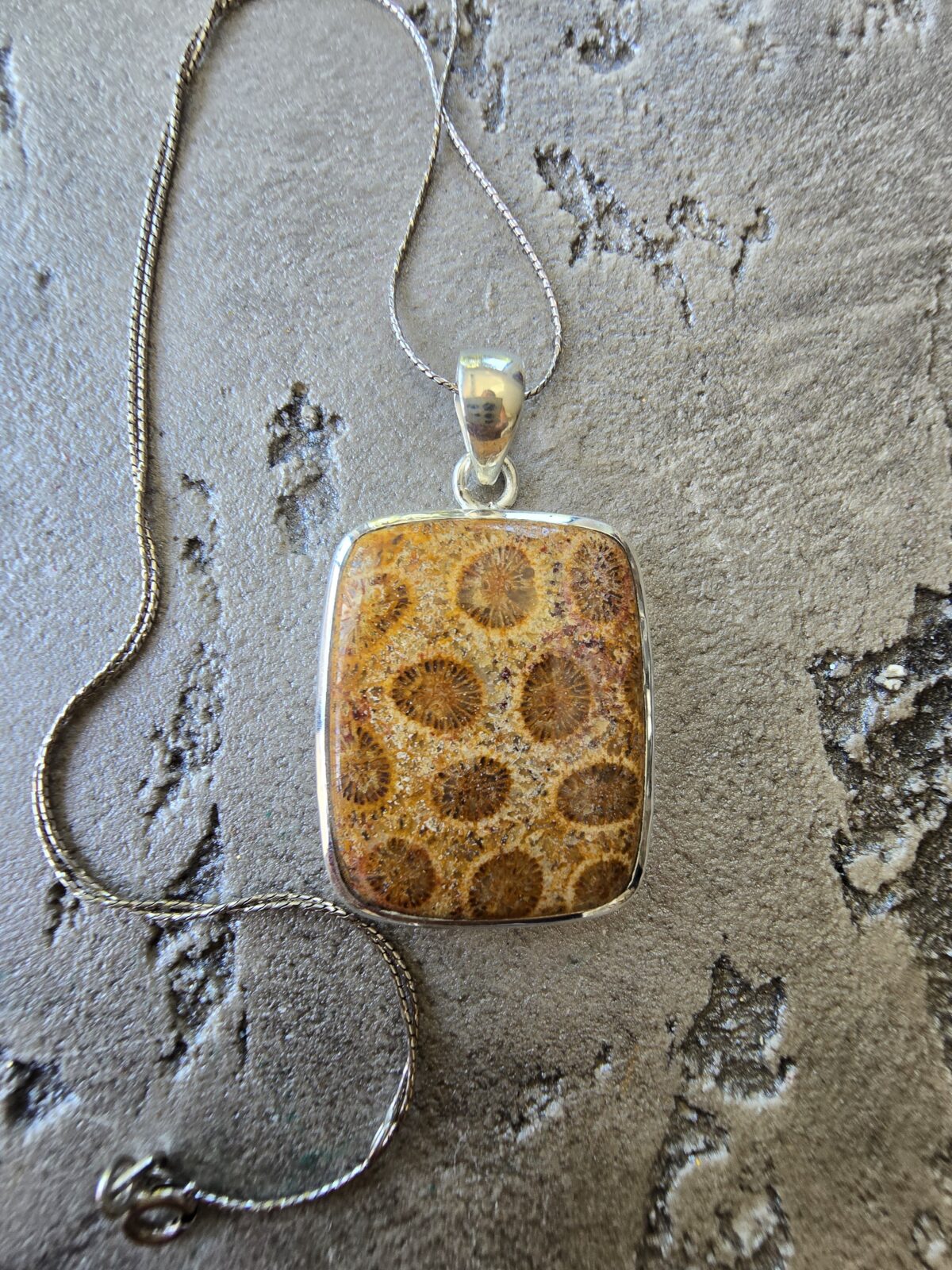 MERCAN FOSİL-4 - Görsel 1