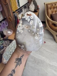 ORKA MADAGASKAR AKİK - Görsel 2