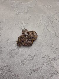 BAKIR MİNERAL - Görsel 2