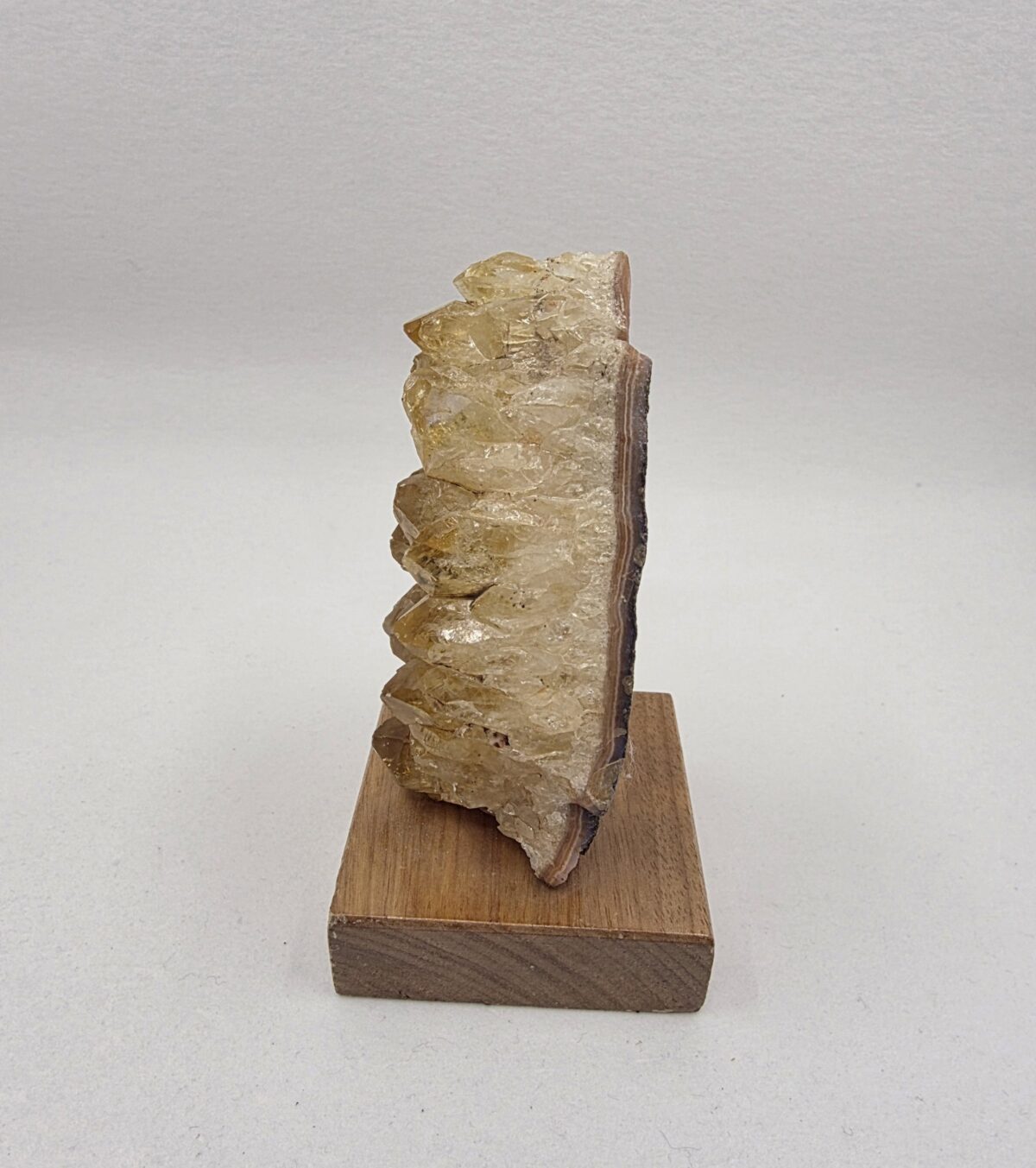 SİTRİN PARÇA - Görsel 2