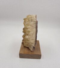 SİTRİN PARÇA - Görsel 2