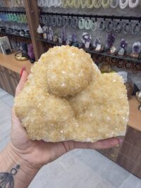 HAMİLE SİTRİN KOLEKSİYON PARÇA