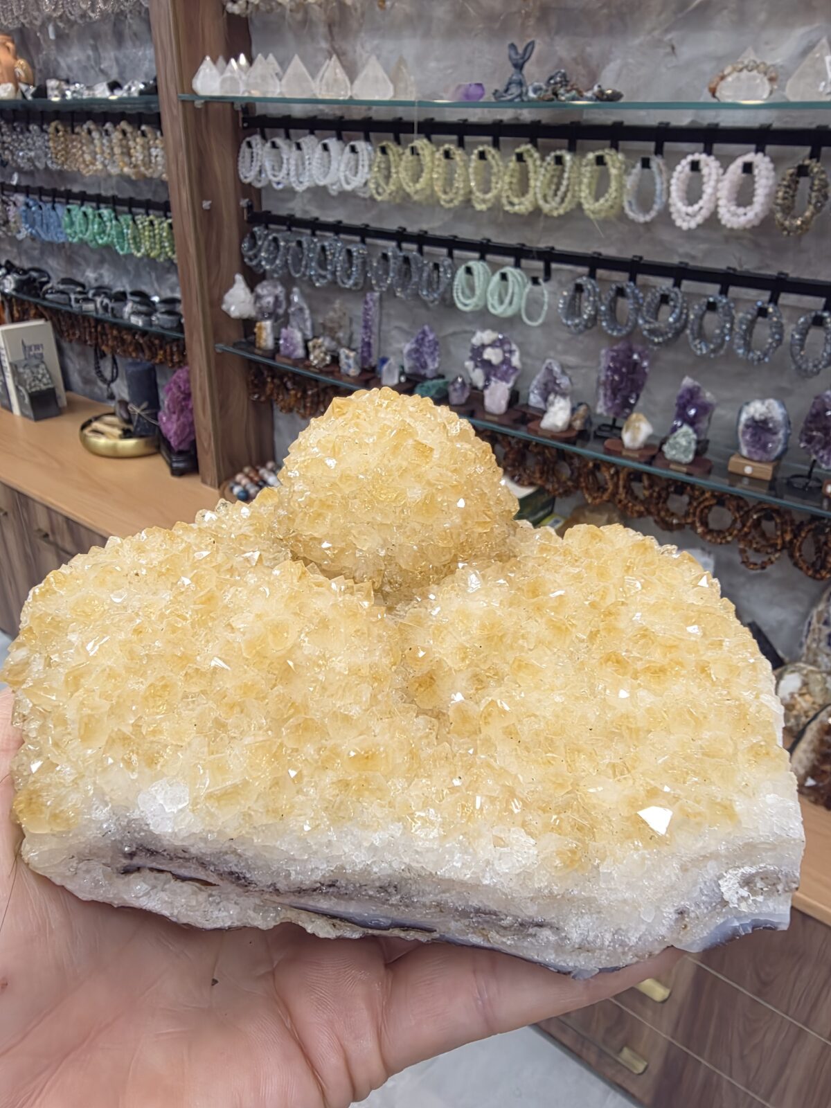 HAMİLE SİTRİN KOLEKSİYON PARÇA - Görsel 4