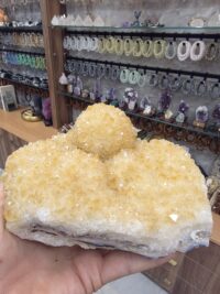 HAMİLE SİTRİN KOLEKSİYON PARÇA - Görsel 4