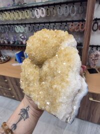 HAMİLE SİTRİN KOLEKSİYON PARÇA - Görsel 2