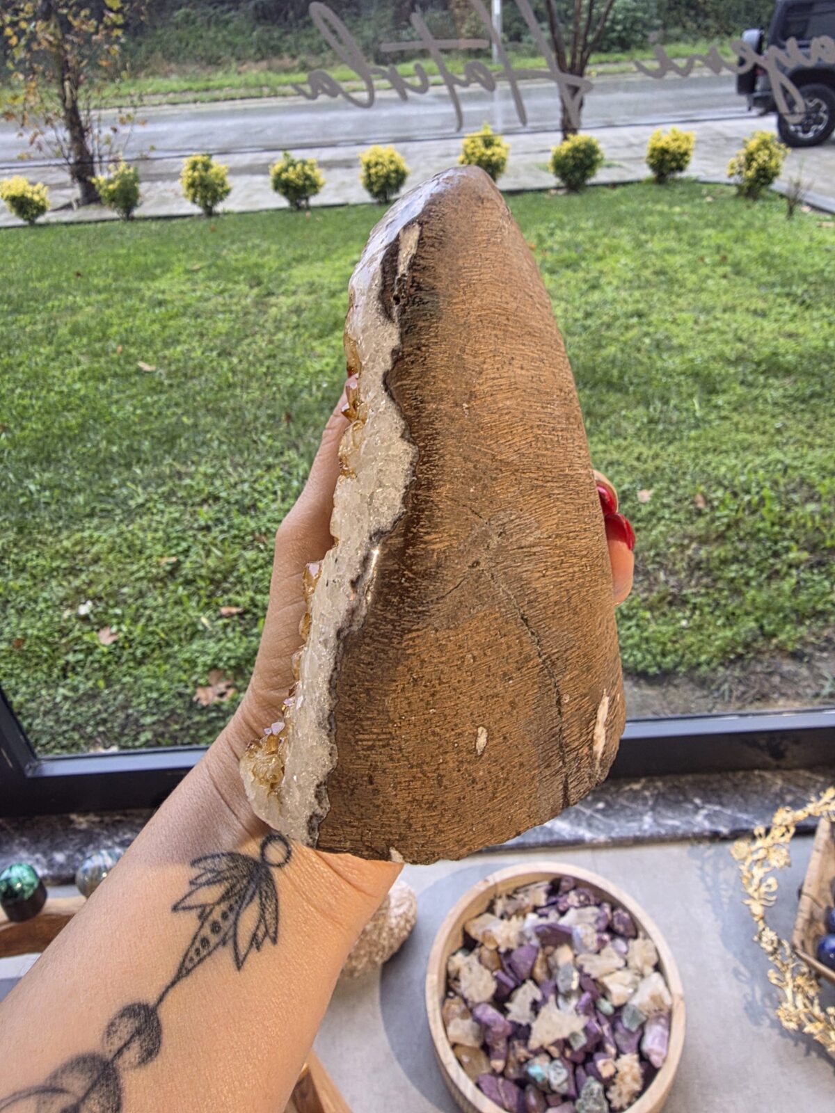 SİTRİN JEOT-ORJİNAL - Görsel 2