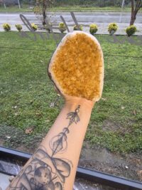 SİTRİN JEOT-ORJİNAL