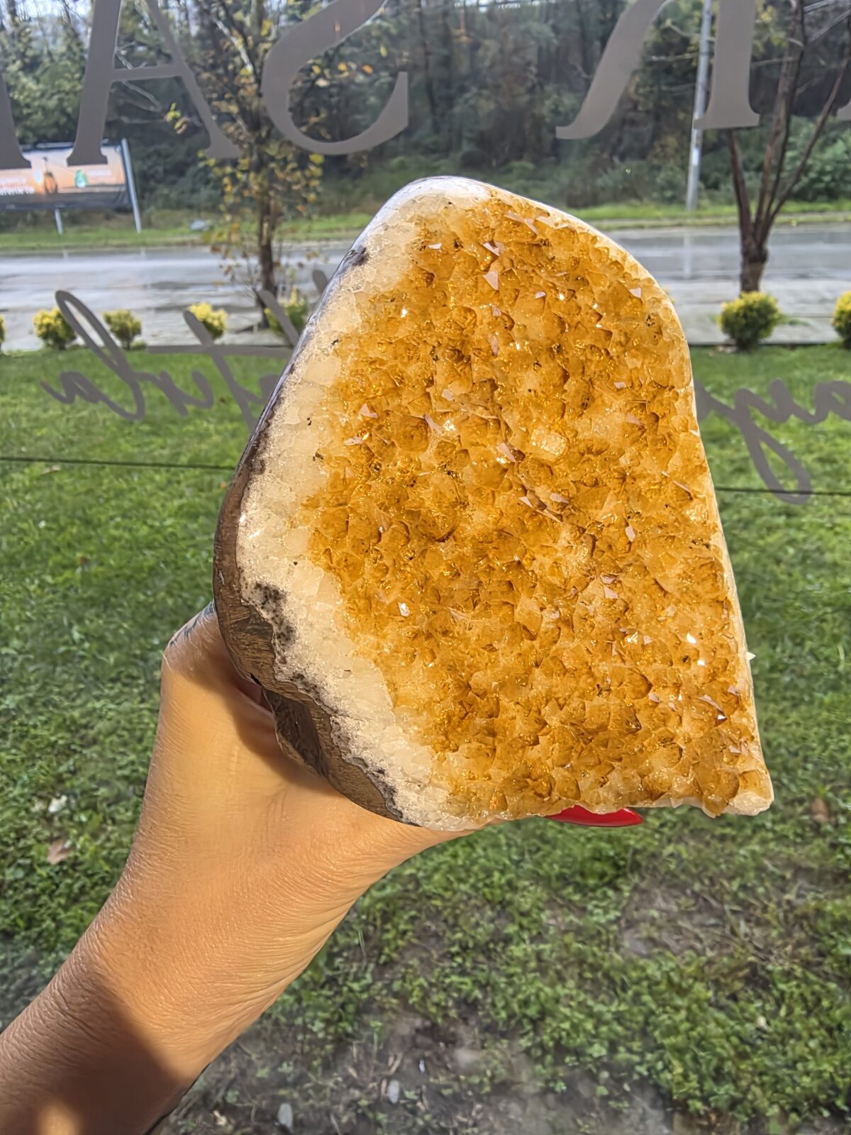 SİTRİN JEOT-ORJİNAL - Görsel 4