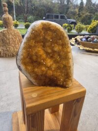 SİTRİN JEOT-ORJİNAL - Görsel 3