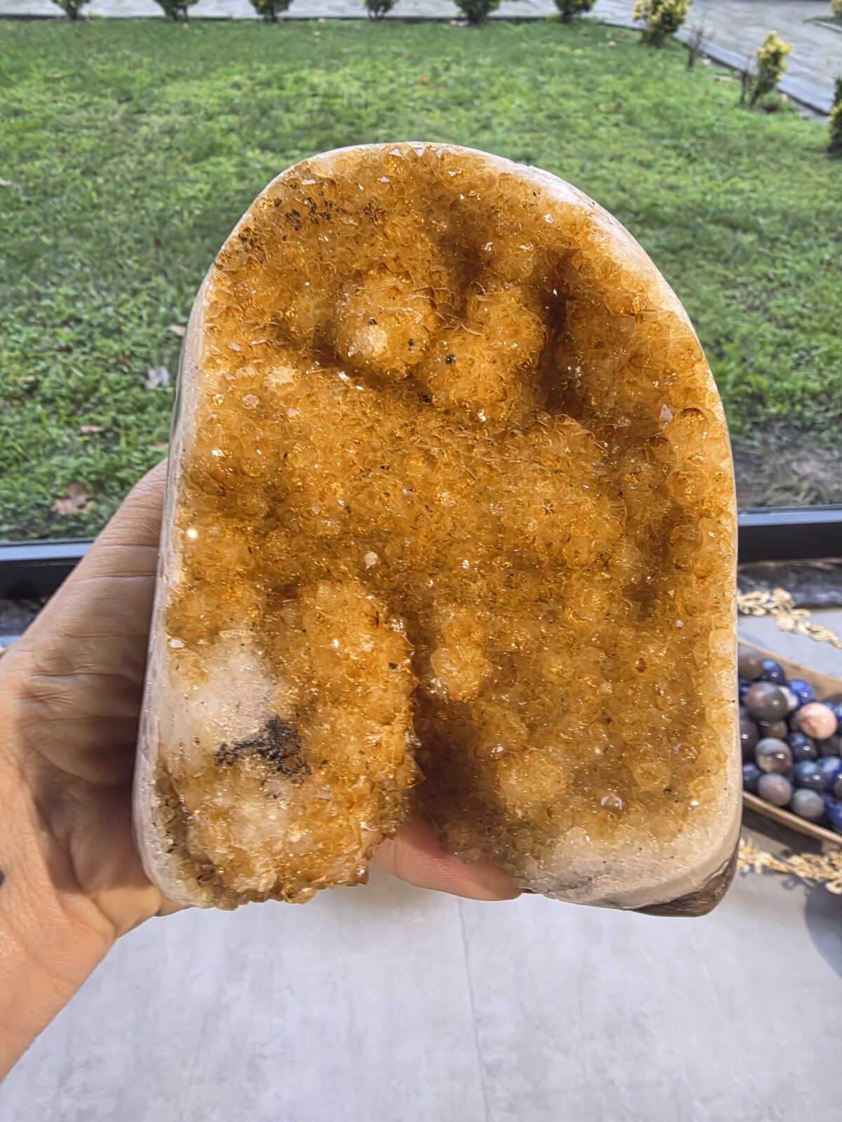 SİTRİN JEOT-HAMİLE - Görsel 4