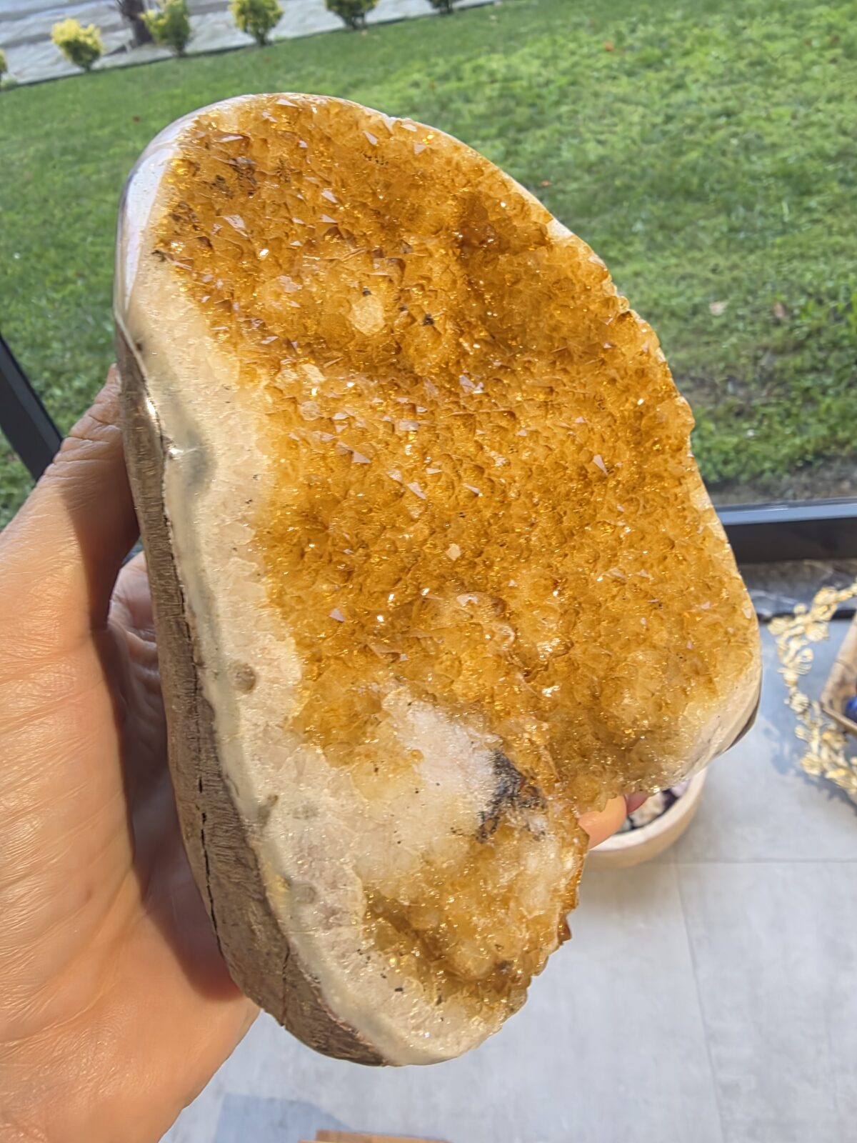 SİTRİN JEOT-HAMİLE - Görsel 3