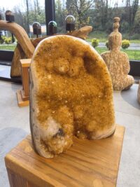 SİTRİN JEOT-HAMİLE