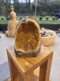 ORJİNAL SİTRİN JEOT - Görsel 2