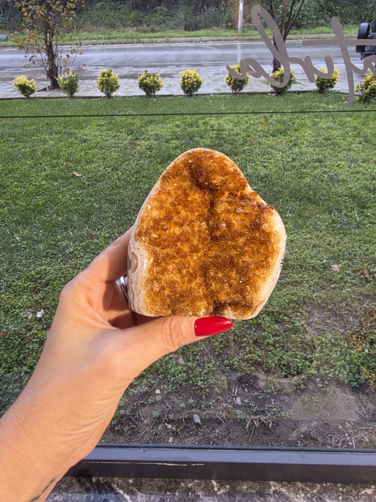 ORJİNAL SİTRİN JEOT - Görsel 2