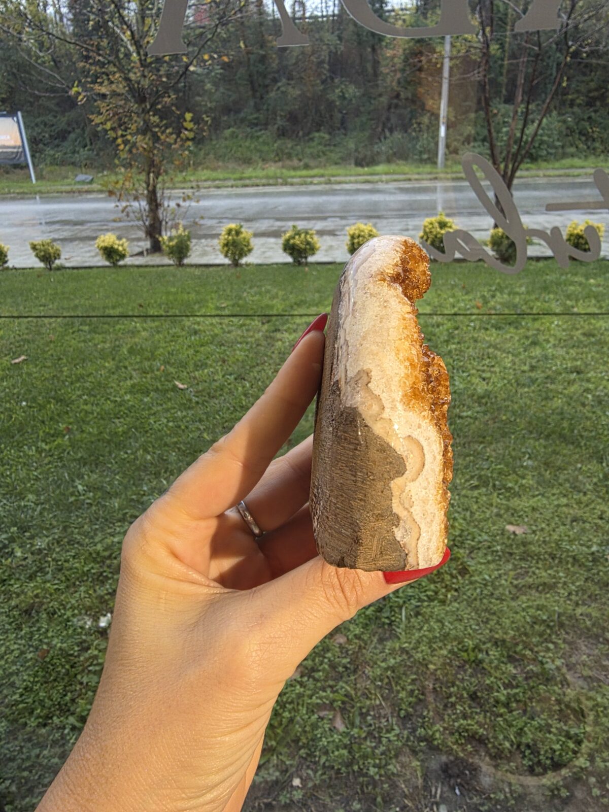 ORJİNAL SİTRİN JEOT - Görsel 3