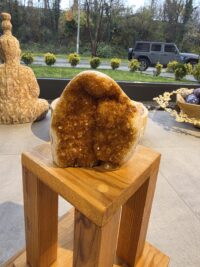 ORJİNAL SİTRİN JEOT