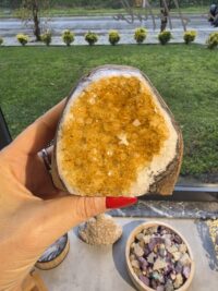 ORJİNAL SİTRİN JEOT - Görsel 2