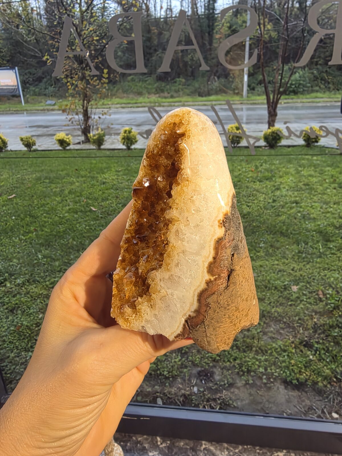 ORJİNAL SİTRİN JEOT - Görsel 2