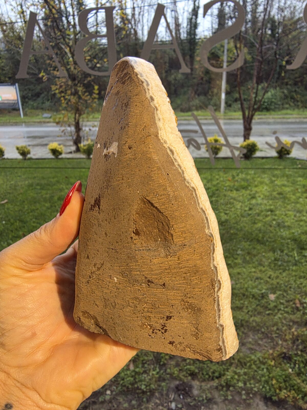 ORJİNAL SİTRİN JEOT - Görsel 2