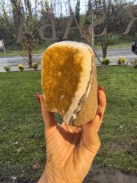 ORJİNAL SİTRİN JEOT - Görsel 2