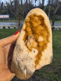 HAMİLE ORJİNAL SİTRİN JEOT