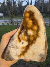 HAMİLE ORJİNAL SİTRİN JEOT - Görsel 2