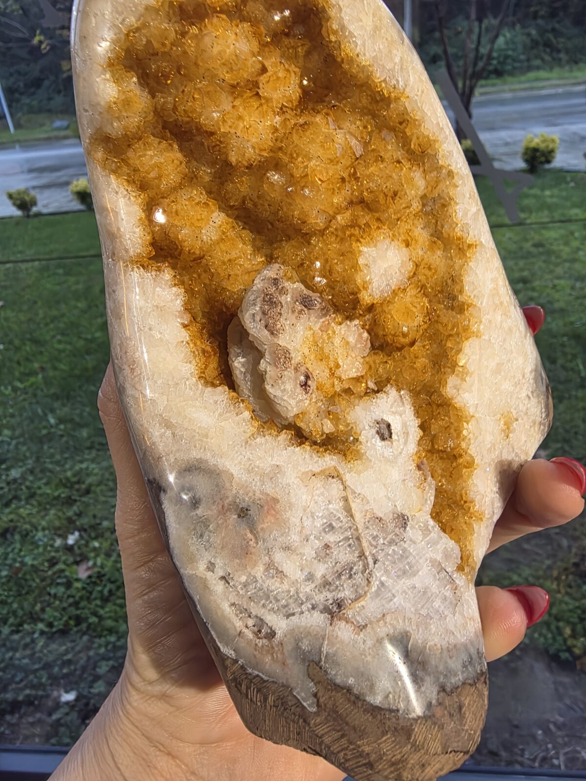 HAMİLE ORJİNAL SİTRİN JEOT - Görsel 3