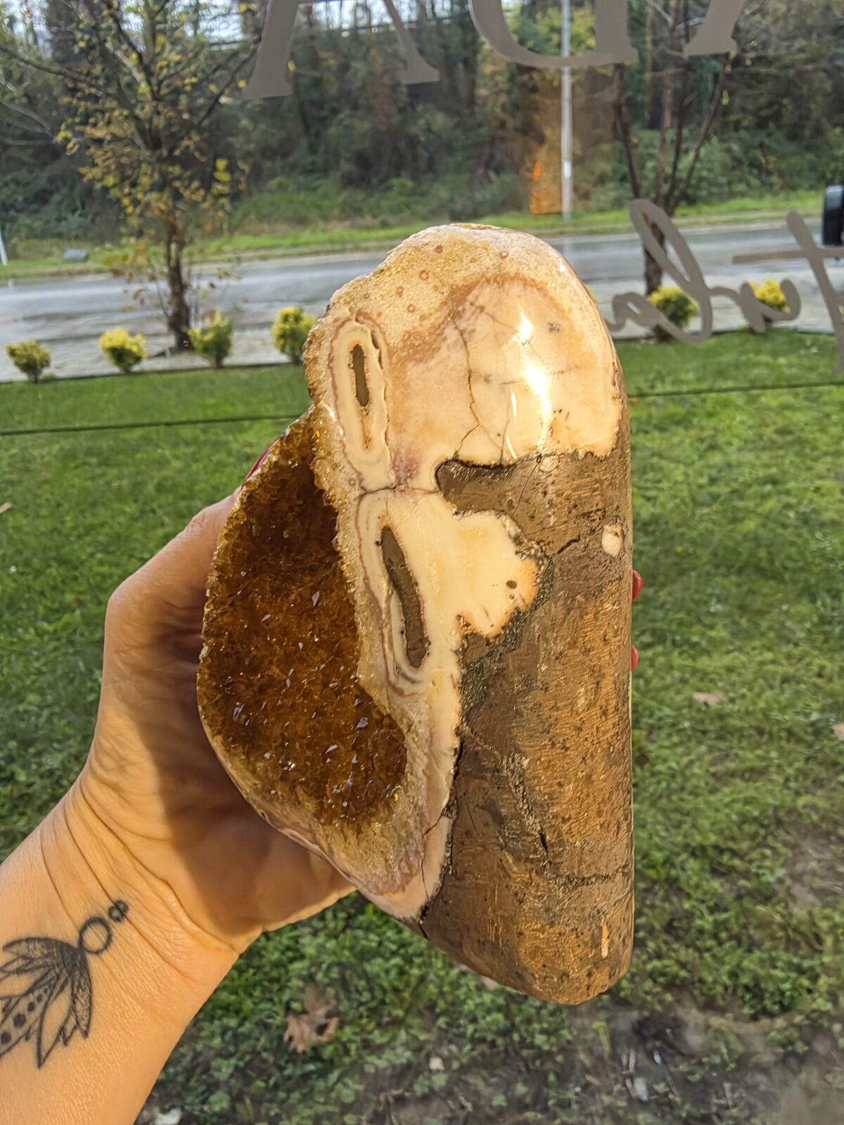 ORJİNAL SİTRİN JEOT - Görsel 2