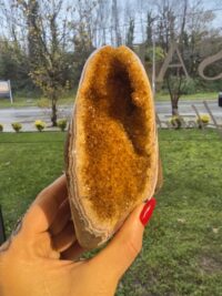 ORJİNAL SİTRİN JEOT - Görsel 2