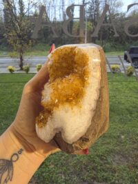 HAMİLE ORJİNAL SİTRİN JEOT - Görsel 3