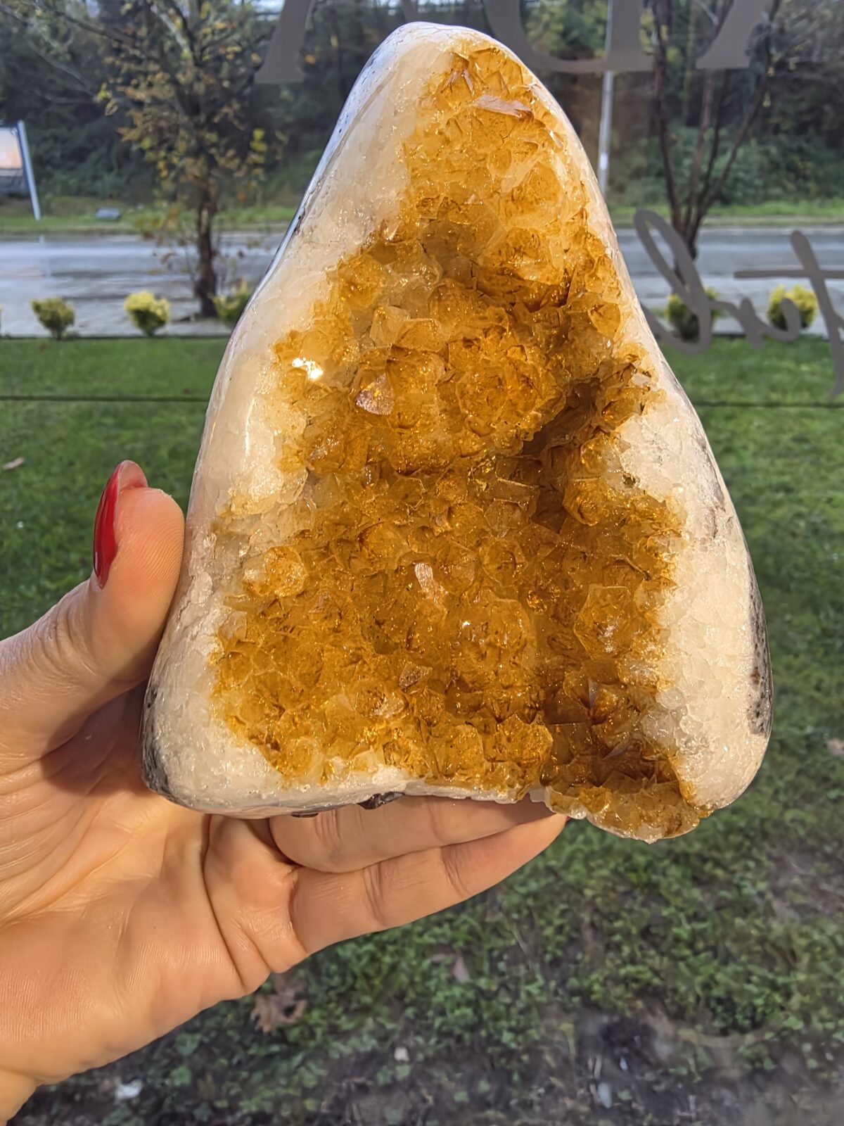 ORJİNAL SİTRİN JEOT - Görsel 3