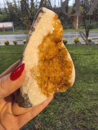 ORJİNAL SİTRİN JEOT