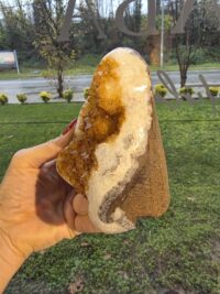 ORJİNAL SİTRİN JEOT - Görsel 2