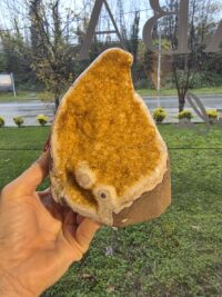 GÖZ ORJİNAL SİTRİN JEOT