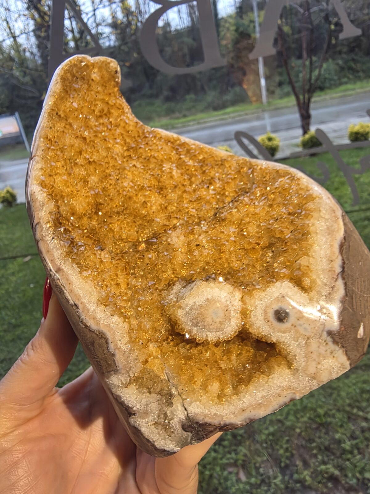 GÖZ ORJİNAL SİTRİN JEOT - Görsel 3