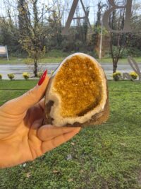 ORJİNAL SİTRİN JEOT - Görsel 5