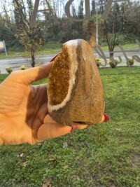 ORJİNAL SİTRİN JEOT - Görsel 2