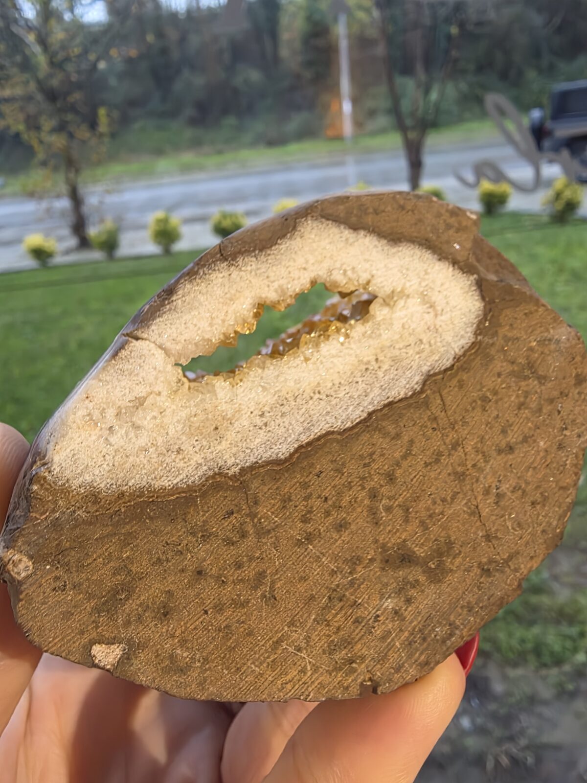 ORJİNAL SİTRİN JEOT - Görsel 4