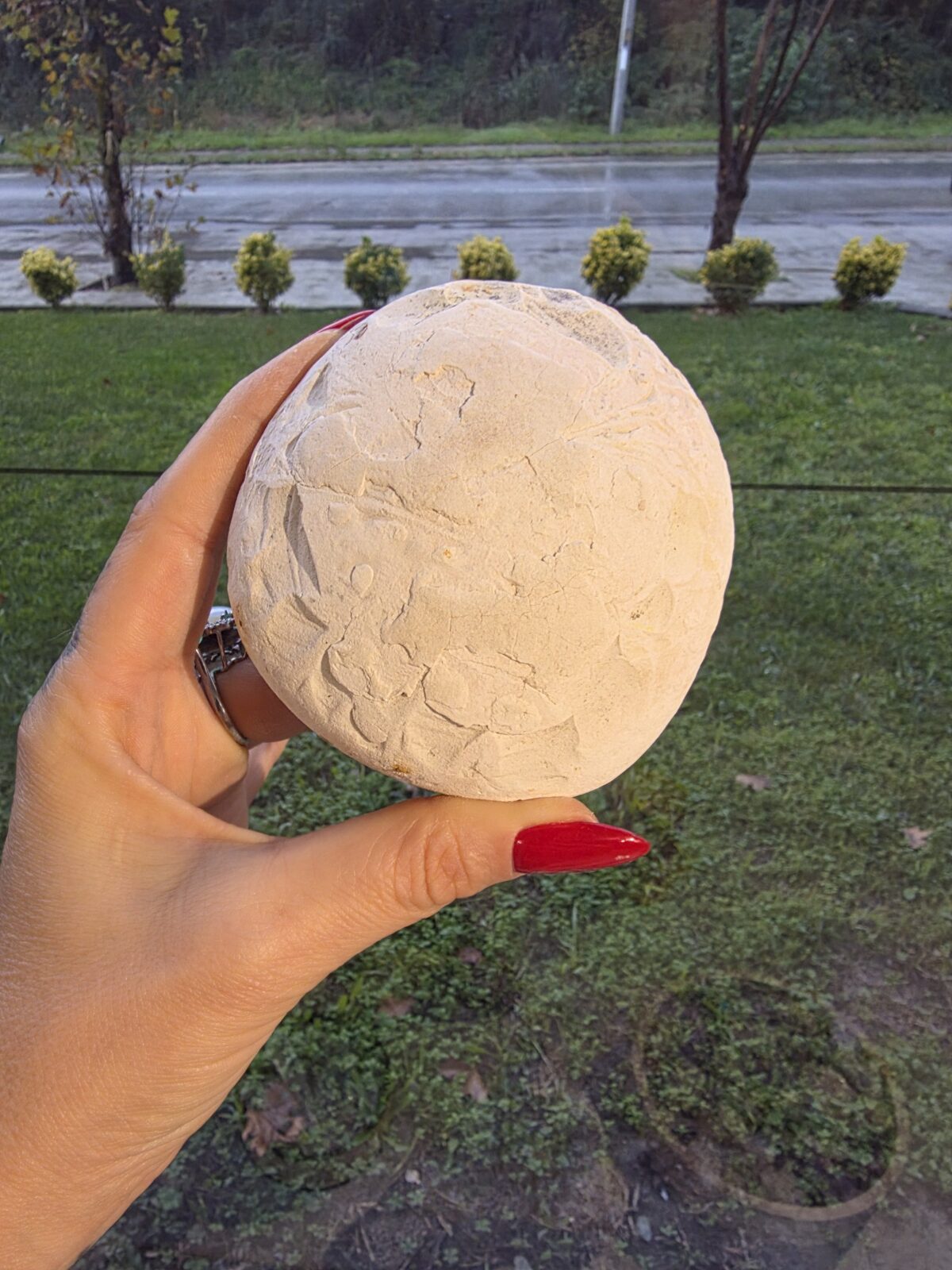 KOLEKSİYON MENALITE - Görsel 4