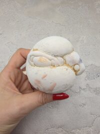 KOLEKSİYON MENALITE TAŞI