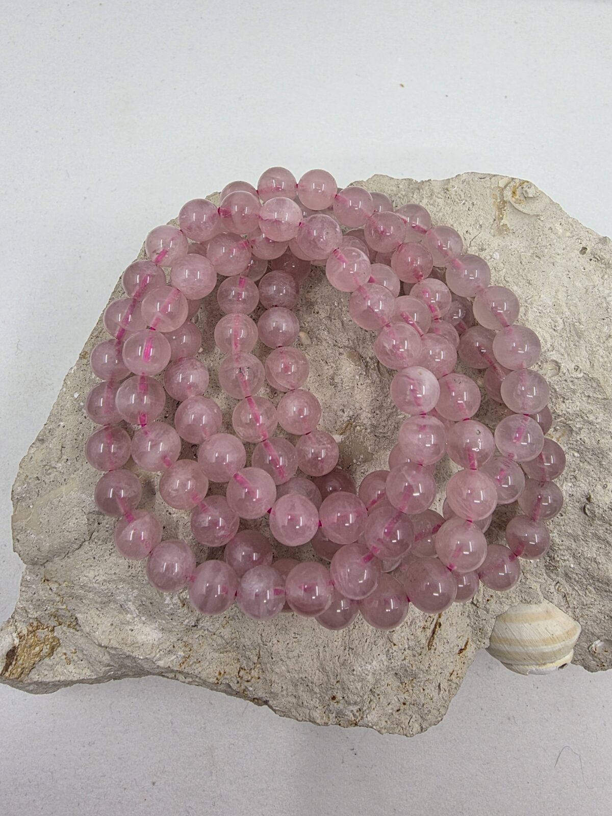 MADAGASCAR AŞK - Görsel 2