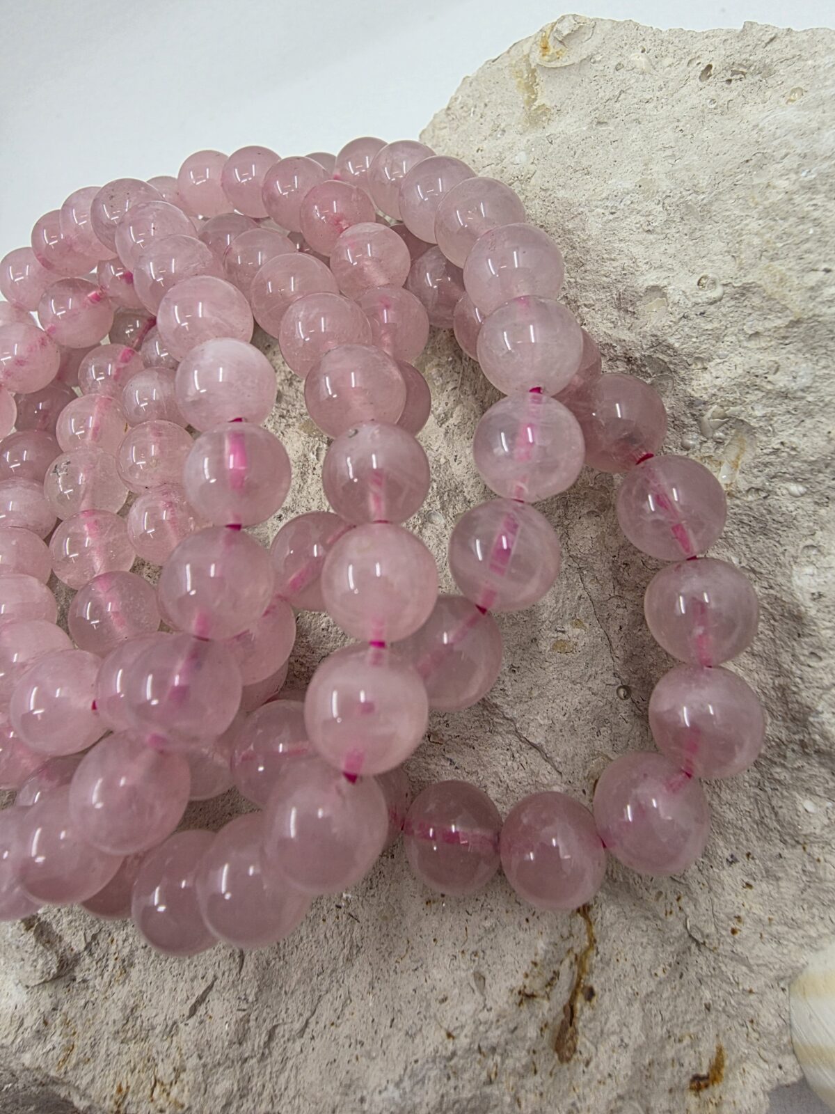 MADAGASCAR AŞK - Görsel 3