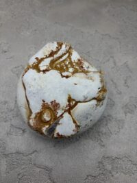 KOLEKSİYON MENALITE