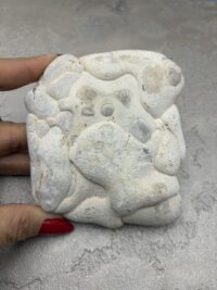 KOLEKSİYON MENALITE